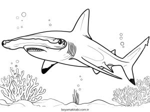 Köpek Balığı Boyama