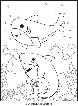 Köpek Balığı Boyama