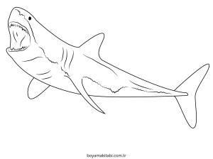 Köpek Balığı Boyama