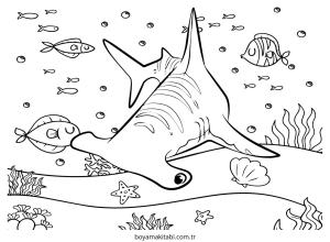 Köpek Balığı Boyama
