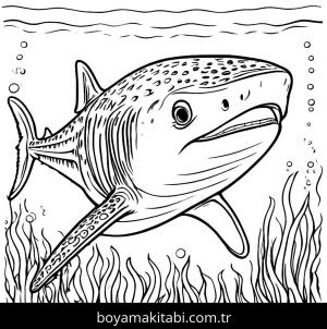 Köpek Balığı boyama sayfası,  coloring page, , 