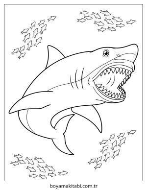 Köpek Balığı boyama sayfası – PDF indir, sevimli karakter