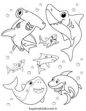 Köpek Balığı Boyama