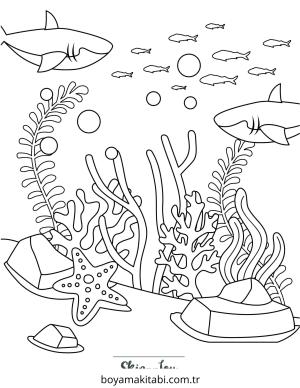 Köpek Balığı Boyama