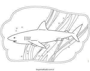 Köpek Balığı Boyama