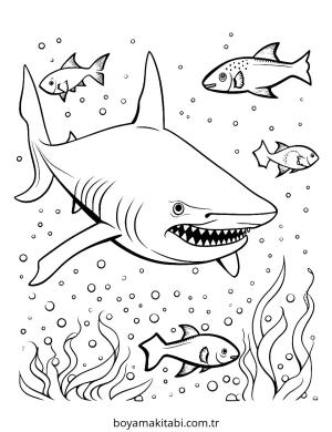 Köpek Balığı Boyama