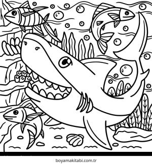 Köpek Balığı Boyama