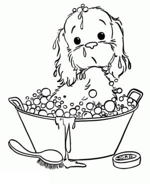 Köpek Yavrusu boyama sayfası,  coloring page, Küvette Banyo yapan Köpek Yavrusu, 