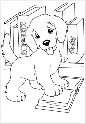 Köpek Yavrusu boyama sayfası,  coloring page, Kitaplı köpek Yavrusu, 