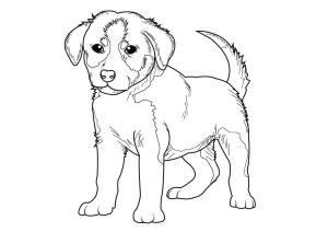 Köpek Yavrusu boyama sayfası,  coloring page, Temel köpek Yavrusu, 