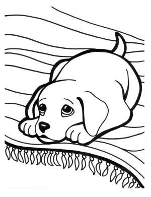 Köpek Yavrusu boyama sayfası,  coloring page, Köpek Yavrusu Yalan, 