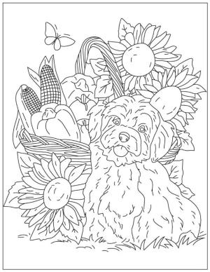 Köpek Yavrusu boyama sayfası,  coloring page, Köpek Yavrusu Yetişkinler içindir, 