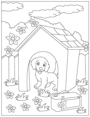 Köpek Yavrusu boyama sayfası,  coloring page, Köpek yavrusu Kafeste, 