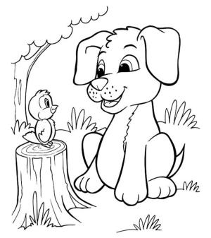 Köpek Yavrusu boyama sayfası,  coloring page, Köpek yavrusu ile Kuş, 