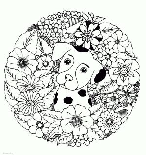 Köpek Yavrusu boyama sayfası,  coloring page, Çiçekli şirin Köpek Yavrusu, 