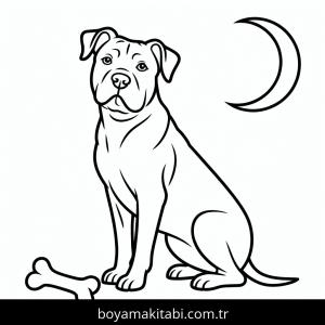 Köpek boyama sayfası – renkli çizimler, okul öncesi