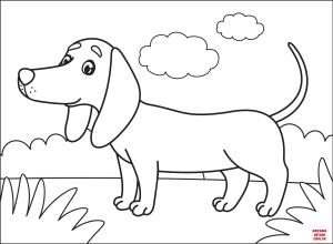 Köpek boyama sayfası, Dog coloring page, , dogs dachshund 