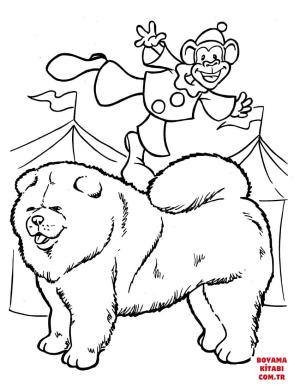 Köpek boyama sayfası, Dog coloring page, , dogs samoyed with a monkey clown 