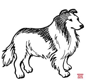 Köpek boyama sayfası, Dog coloring page, , dogs rough collie dog 