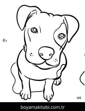 Köpek boyama sayfası – el becerilerini geliştirir, boyama çalışması