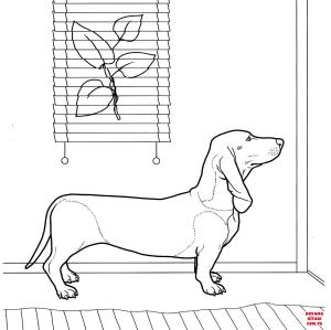Köpek boyama sayfası, Dog coloring page, , dogs dachshund 
