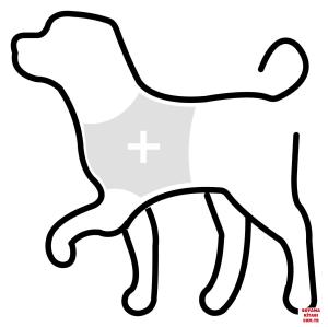 Köpek boyama sayfası, Dog coloring page, , dogs service dog emoji 