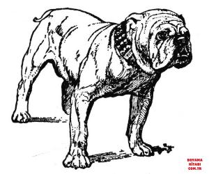 Köpek boyama sayfası, Dog coloring page, , dogs bulldog 