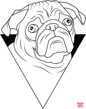 Köpek boyama sayfası, Dog coloring page, , dogs pug dog portrait 