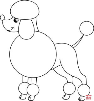 Köpek boyama sayfası, Dog coloring page, , dogs cute poodle 