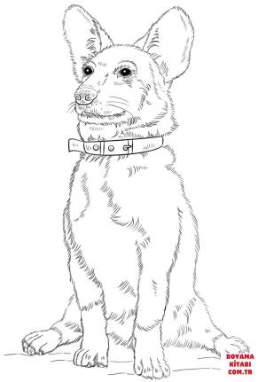 Köpek boyama sayfası, Dog coloring page, , dogs corgi dog 