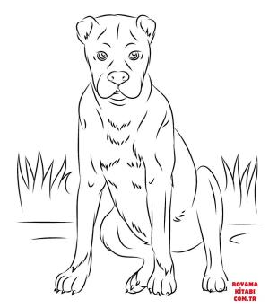 Köpek boyama sayfası, Dog coloring page, , dogs boxer dog 