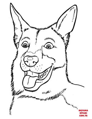 Köpek boyama sayfası, Dog coloring page, , dogs belgian malinois 