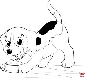 Köpek boyama sayfası, Dog coloring page, , dogs beagle puppy 