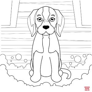 Köpek boyama sayfası, Dog coloring page, , dogs beagle 