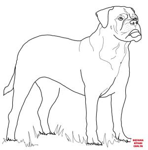 Köpek boyama sayfası, Dog coloring page, , dogs bullmastiff 