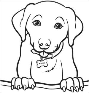 Köpek boyama sayfası, Dog coloring page, Köpek Portresi, 