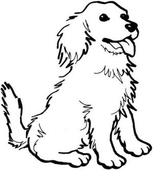 Köpek boyama sayfası, Dog coloring page, Köpek Oturuşu, 