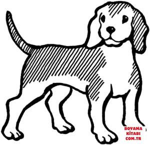 Köpek boyama sayfası, Dog coloring page, , dogs beagle 
