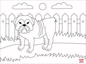 Köpek boyama sayfası, Dog coloring page, , dogs bulldog 