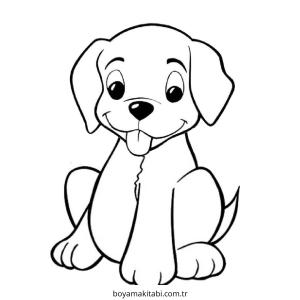 Köpek Boyama