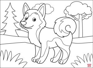 Köpek boyama sayfası, Dog coloring page, , dogs husky 