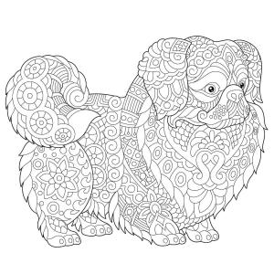 Köpek boyama sayfası, Dog coloring page, Köpek Mandalası, 