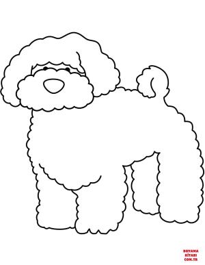 Köpek boyama sayfası, Dog coloring page, , dogs funny bichon 
