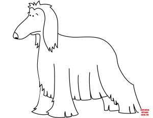 Köpek boyama sayfası, Dog coloring page, , dogs funny afghan hound 