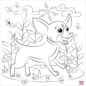 Köpek boyama sayfası, Dog coloring page, , dogs chihuahua 