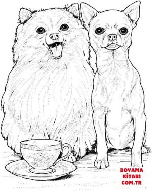 Köpek boyama sayfası, Dog coloring page, , dogs pomeranian dog and chihuahua 