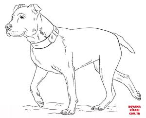 Köpek boyama sayfası, Dog coloring page, , dogs american pitbull terrier 
