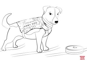 Köpek boyama sayfası, Dog coloring page, , dogs army dog 