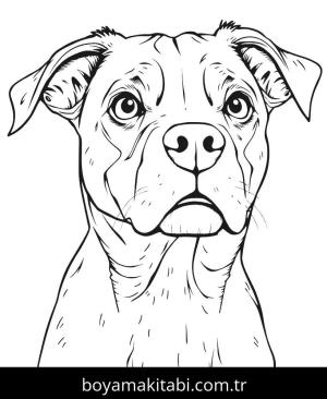 Köpek boyama sayfası, Dog coloring page, , 20)