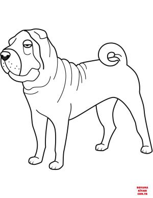 Köpek boyama sayfası, Dog coloring page, , dogs funny shar pei 